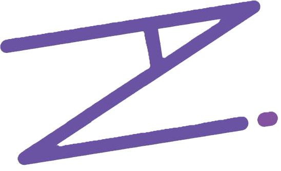 www.zarnriskassessor.com favicon